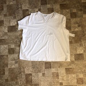 NWT Catherines Top